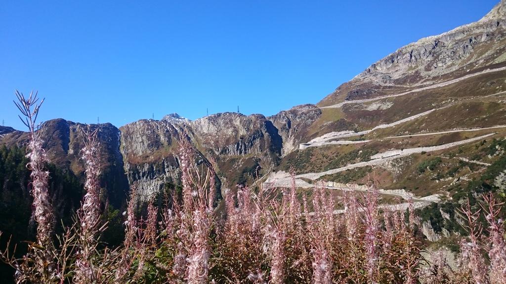 Hotel Garni Zimmermann Reith bei Kitzbühel エクステリア 写真