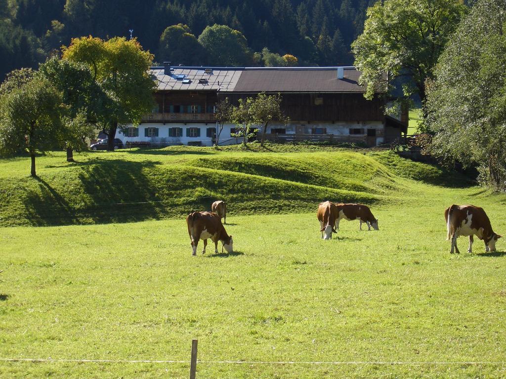 Hotel Garni Zimmermann Reith bei Kitzbühel エクステリア 写真