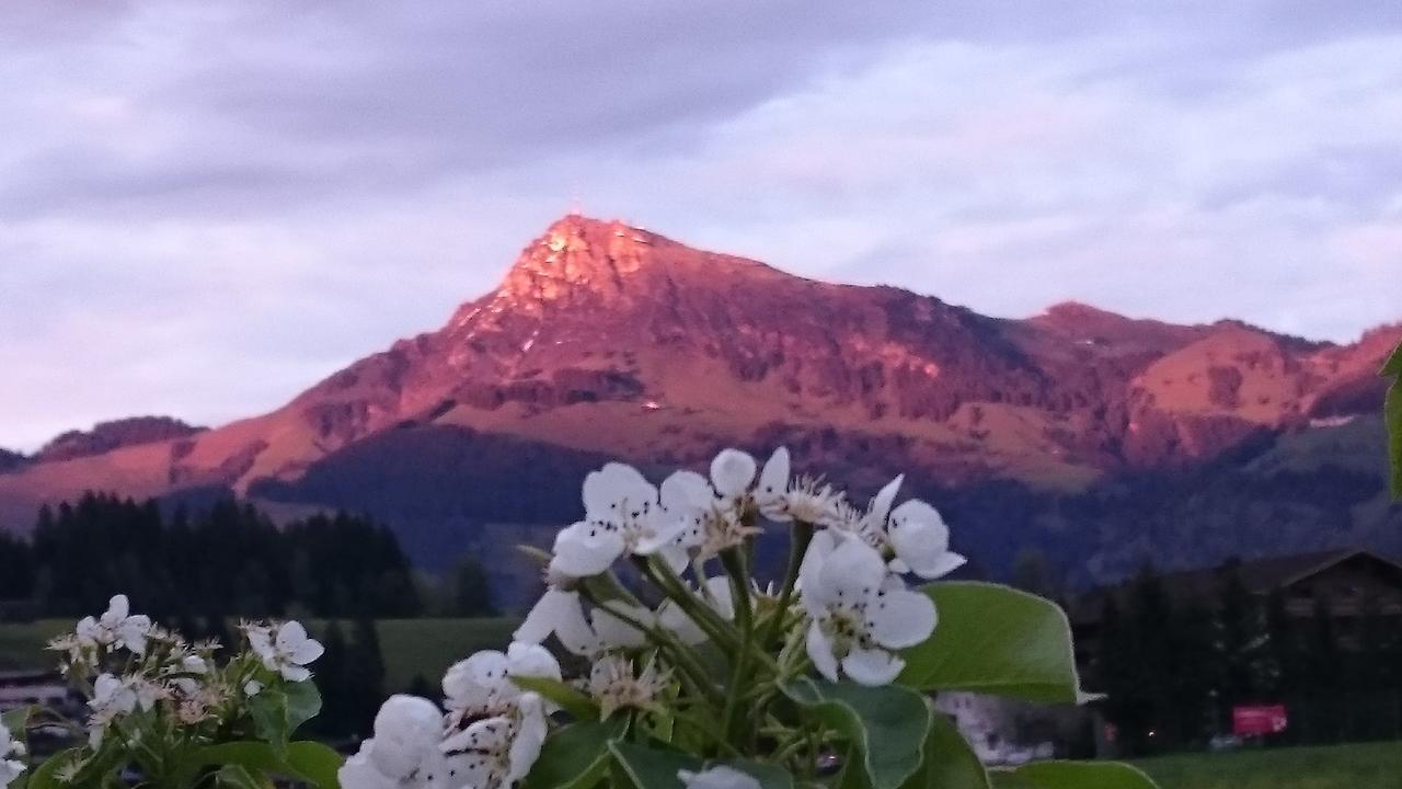 Hotel Garni Zimmermann Reith bei Kitzbühel エクステリア 写真
